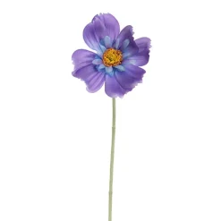 Queen Cosmos Stem Purple (12cmDx56cmH)