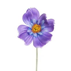 Queen Cosmos Stem Purple (12cmDx56cmH)