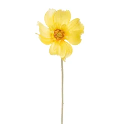 Queen Cosmos Stem Yellow (12cmDx56cmH)