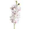 Real Look Cymbidium Orchid Spray 10 Flowers White (93cmH)