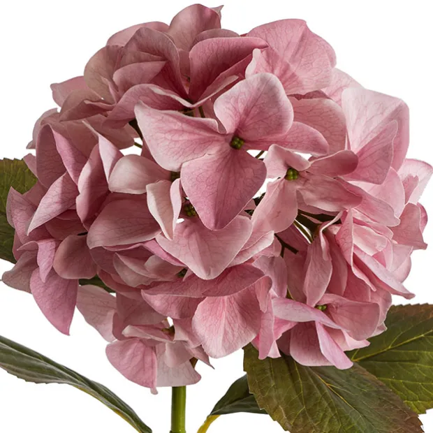 Real Look Hydrangea Dusty Pink (16cmDx65cmH)