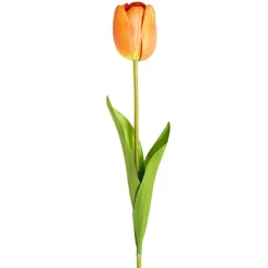 Real Look Tulip Orange (6cmDx63cmH)