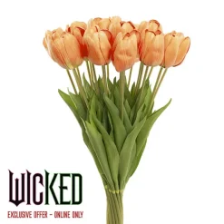 Real Look Tulip Orange (6cmDx63cmH)