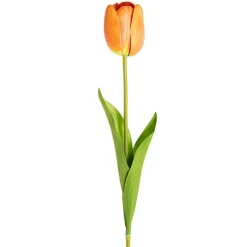 Real Look Tulip Orange (6cmDx63cmH)