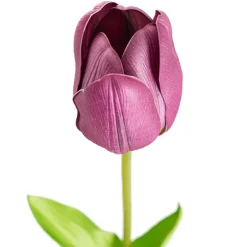 Real Look Tulip Purple (6cmDx63cmH)