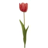 Real Look Tulip Red (6cmDx63cmH)