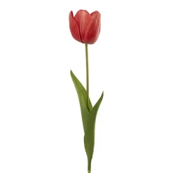Real Look Tulip Red (6cmDx63cmH)