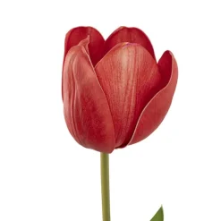 Real Look Tulip Red (6cmDx63cmH)