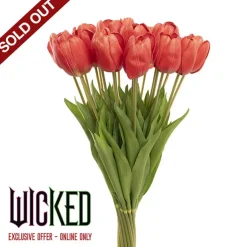 Real Look Tulip Red (6cmDx63cmH)