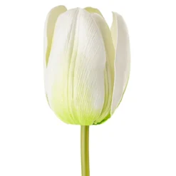 Real Look Tulip White (6cmDx63cmH)