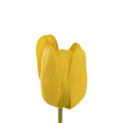 Real Look Tulip Yellow (6cmDx63cmH)