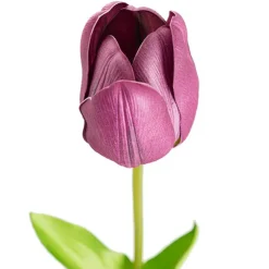 Real Look Wicked Tulip Purple (6cmDx63cmH)