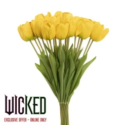 Real Look Wicked Tulip Yellow (6cmDx63cmH)
