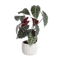 Real Touch Alocasia Potted Plant Green (53cmH)