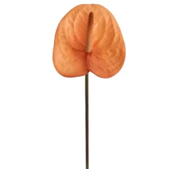 Real Touch Anthurium Caramel Beige (63cmH)