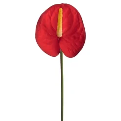 Real Touch Anthurium Red (63cmH)
