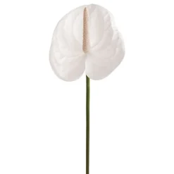 Real Touch Anthurium White (63cmH)