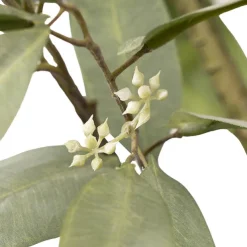 Real Touch Artificial Eucalyptus Willow Tree Green (160cmH)