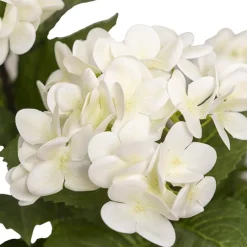 Real Touch Artificial Hydrangea Tree Potted White (90cmH)