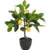 Real Touch Artificial Lemon Tree Potted Green (40cmH)