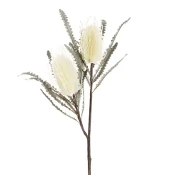 Real Touch Australian Banksia x 2 Head Spray Cream (80cmH)