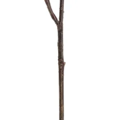 Real Touch Australian Banksia x 2 Head Spray Cream (80cmH)