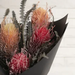 Real Touch Australian Banksia x 2 Head Spray Red (80cmH)