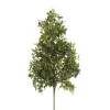 Real Touch Boxwood Spray Green (60cmH)