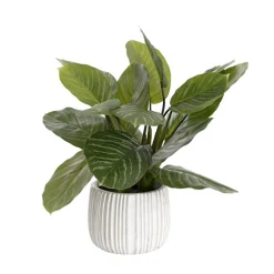 Real Touch Calathea Potted Plant Green (48cmH)