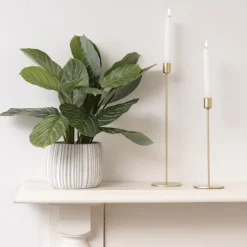 Real Touch Calathea Potted Plant Green (48cmH)