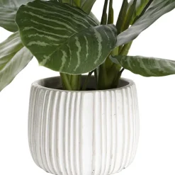 Real Touch Calathea Potted Plant Green (48cmH)