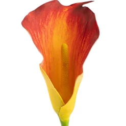 Real Touch Calla Lily Orange Yellow (72cmH)