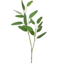 Real Touch Double Faced Eucalyptus Gunnii Spray Green(63cmH)