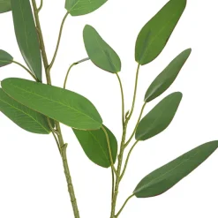 Real Touch Double Faced Eucalyptus Gunnii Spray Green(63cmH)