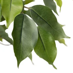 Real Touch Ficus Tree Green (180cmH)