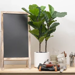 Real Touch Fiddleleaf Tree in White Pot Green (90cmH)
