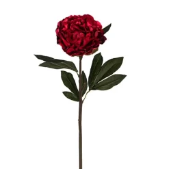 Real Touch Peony Stem Dark Red (15cmDx68cmH)