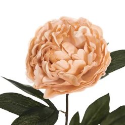 Real Touch Peony Stem Nude Beige (15cmDx68cmH)