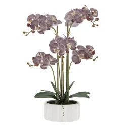 Real Touch Phalaenopsis Orchid 5 Stem Potted Purple (59cmH)