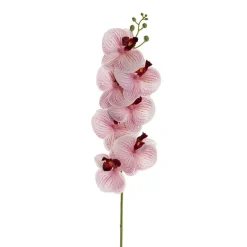 Real Touch Phalaenopsis Orchid Stem x7 Head Wine (85cmH)