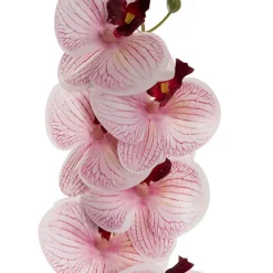 Real Touch Phalaenopsis Orchid Stem x7 Head Wine (85cmH)