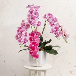 Real Touch Phalaenopsis Orchid Stem x7 Fuchsia (85cmH)