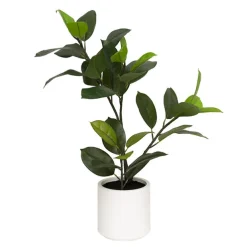 Real Touch Rubber Tree in White Pot Green (90cmH)