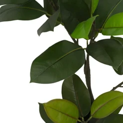 Real Touch Rubber Tree in White Pot Green (90cmH)
