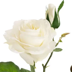 Real Touch Short Stem Rose x 3 Head White (36cmH)