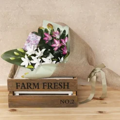 Real Touch Singapore Orchid x5 Flowers Fuchsia (64cmH)