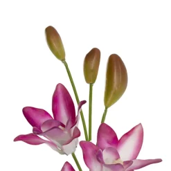 Real Touch Singapore Orchid x5 Flowers Fuchsia (64cmH)
