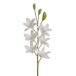 Real Touch Singapore Orchid x5 Flowers White (64cmH)