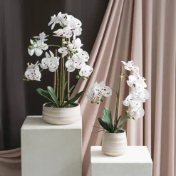 Real Touch Single Phalaenopsis Orchid Potted White (51cmH)