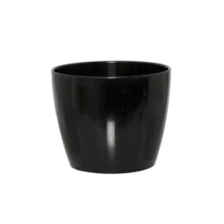 Regal Pot 13.5Dx11.5cmH Black